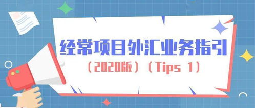 经营个人本外币兑换特许业务指南 合规操作与市场机遇